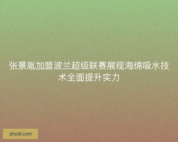张景胤加盟波兰超级联赛展现海绵吸水技术全面提升实力